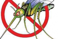 Zabezpiecz swoje mieszkanie przed owadami!