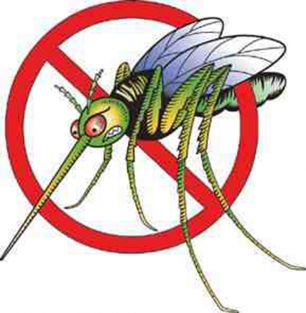 Zabezpiecz swoje mieszkanie przed owadami!